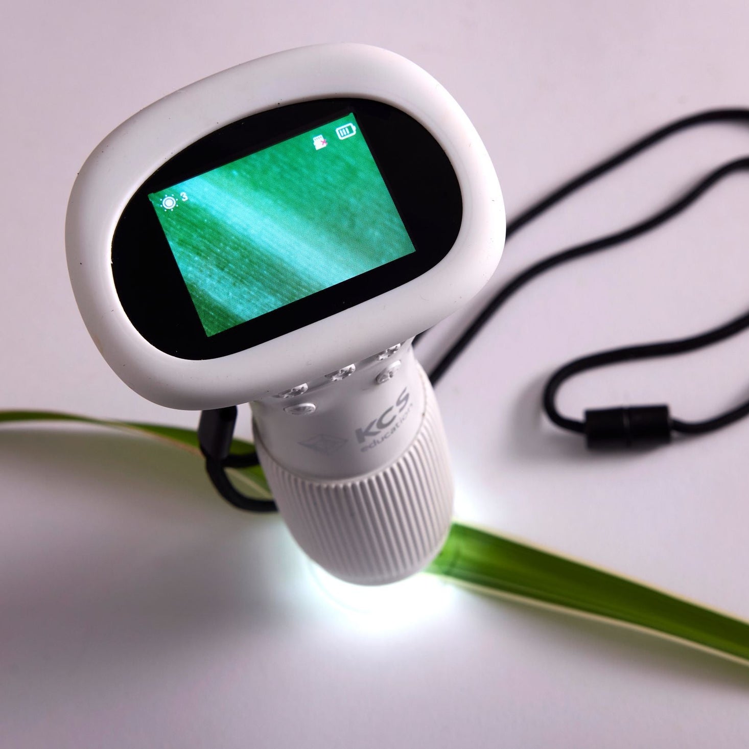 Microscope with Screen