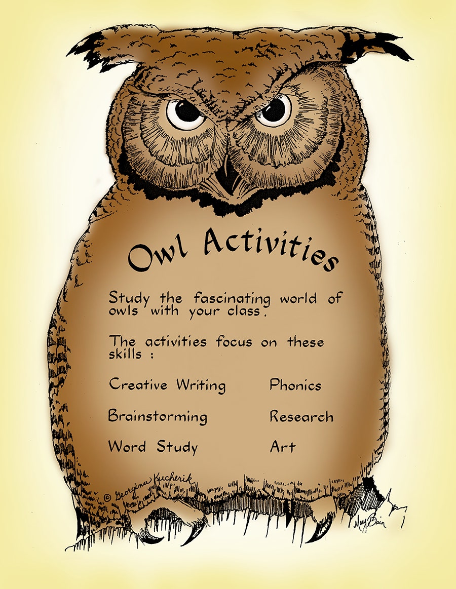 OWL ACTIVITIES Ebook