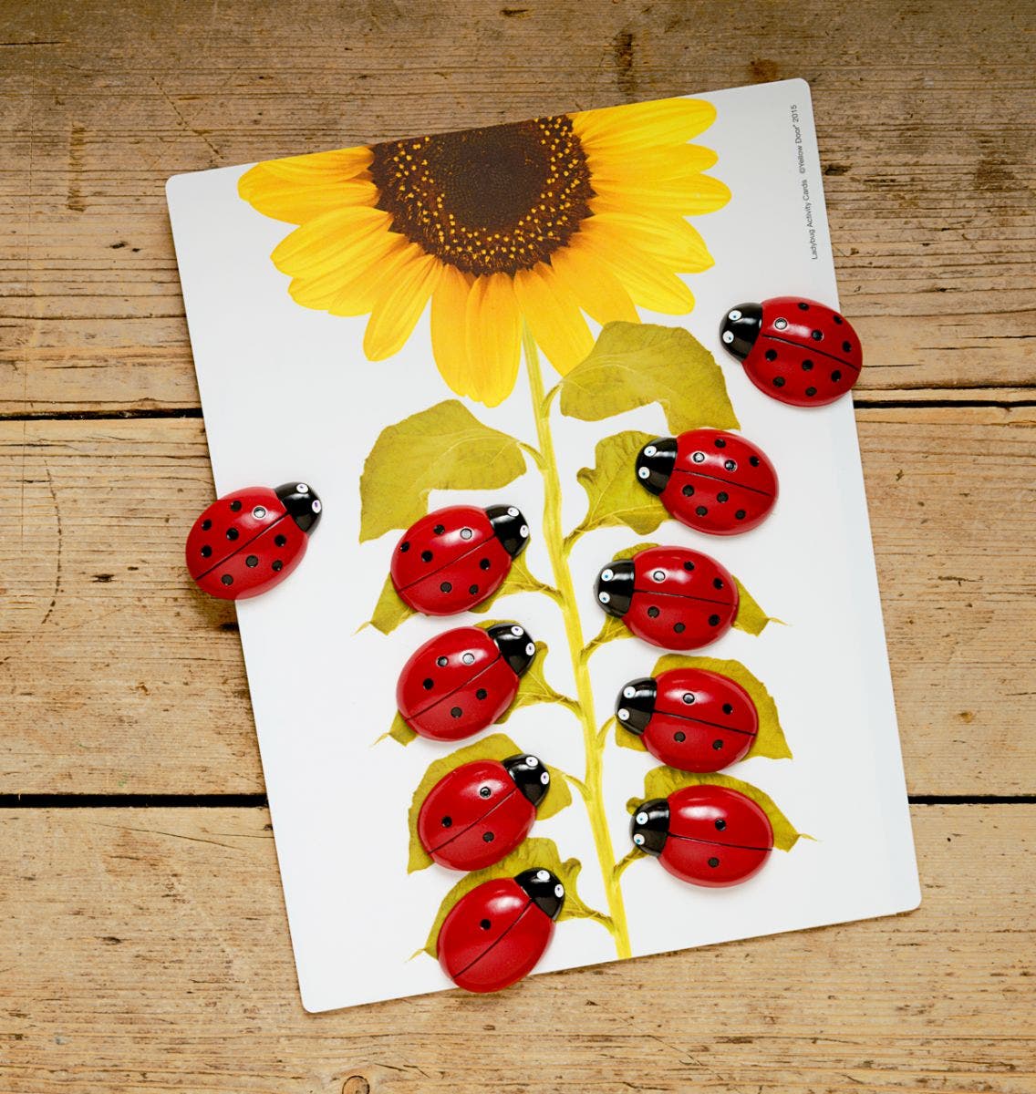 Ladybugs Early Number Cards
