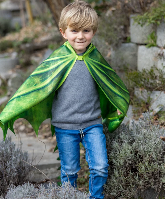 Legendary Dragon Soft Wings Size 4-6