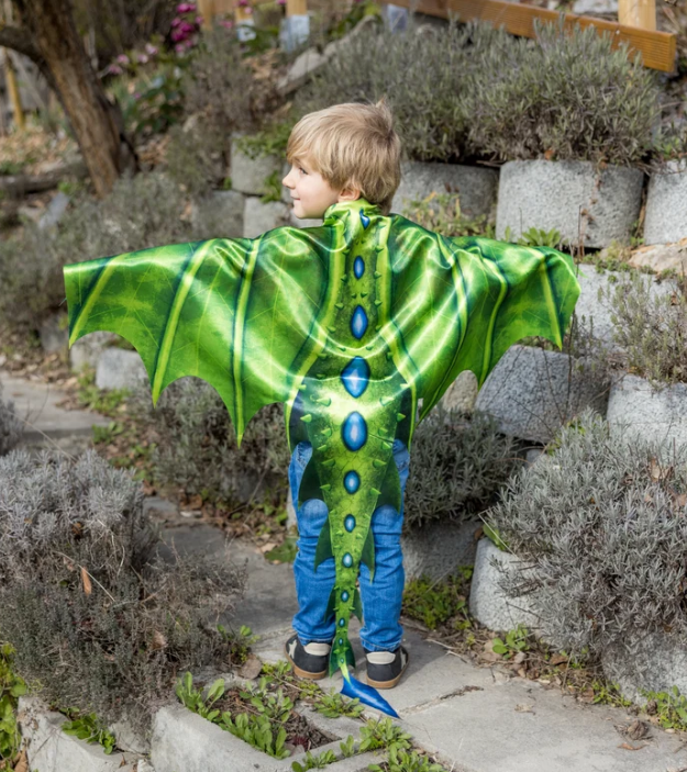 Legendary Dragon Soft Wings Size 4-6