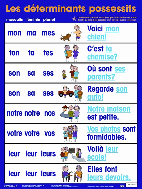 Les determinants possessifs