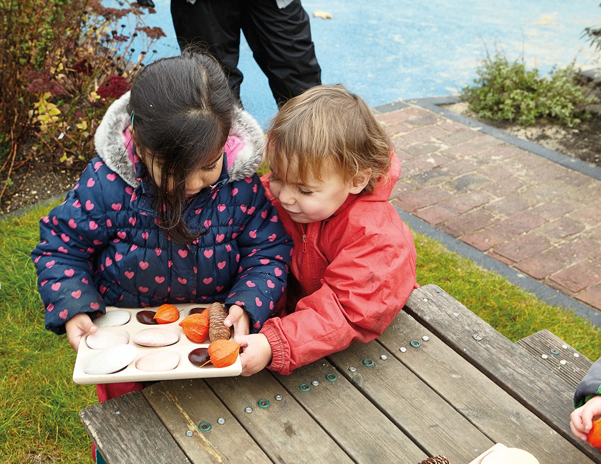 Natural Sorting Tray