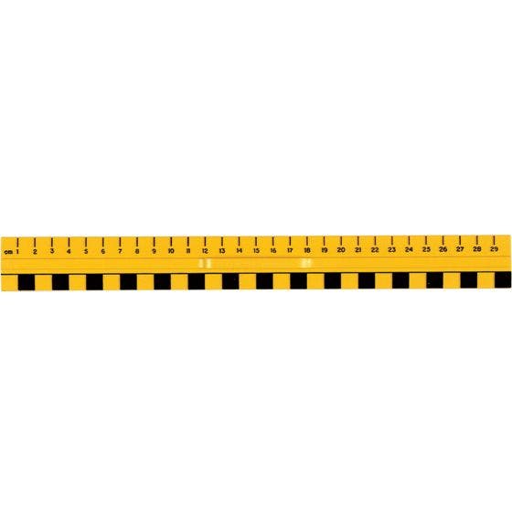 Plastic Ruler
