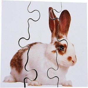 Real Life First Puzzles Pets