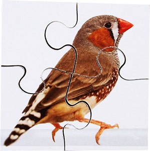 Real Life First Puzzles Pets