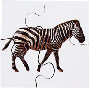 Real Life First Puzzles Wild Animals