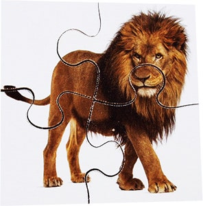 Real Life First Puzzles Wild Animals