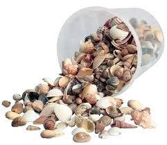 Sea Shells Natural Mix 16oz