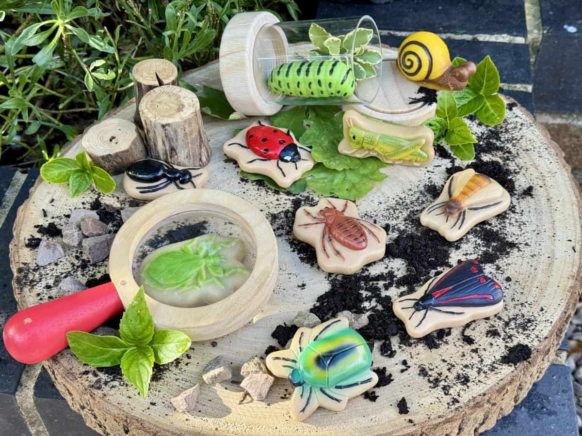 Sensory Play Stones Bugs