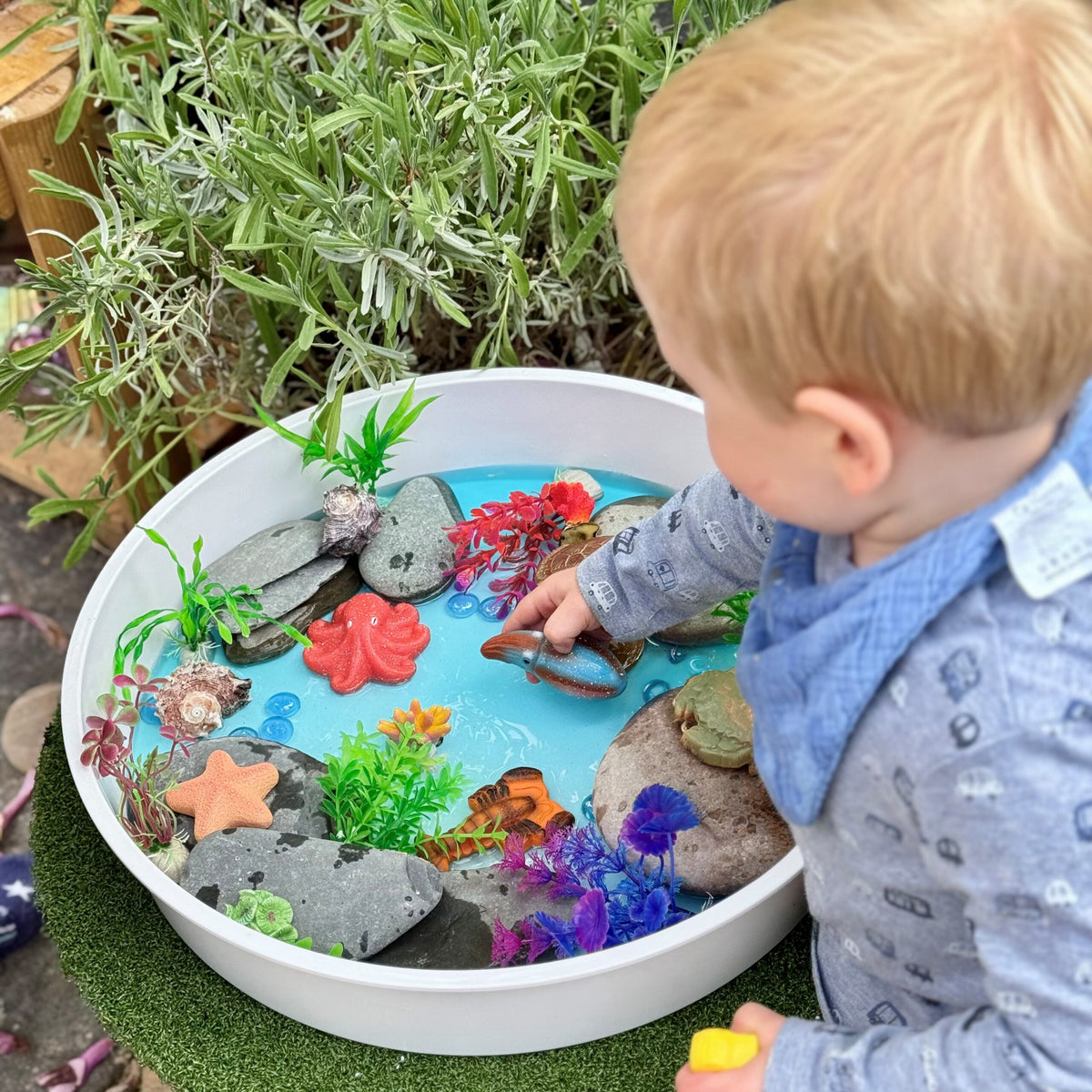 Sensory Play Stones Ocean Life