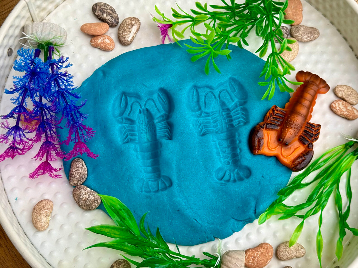 Sensory Play Stones Ocean Life