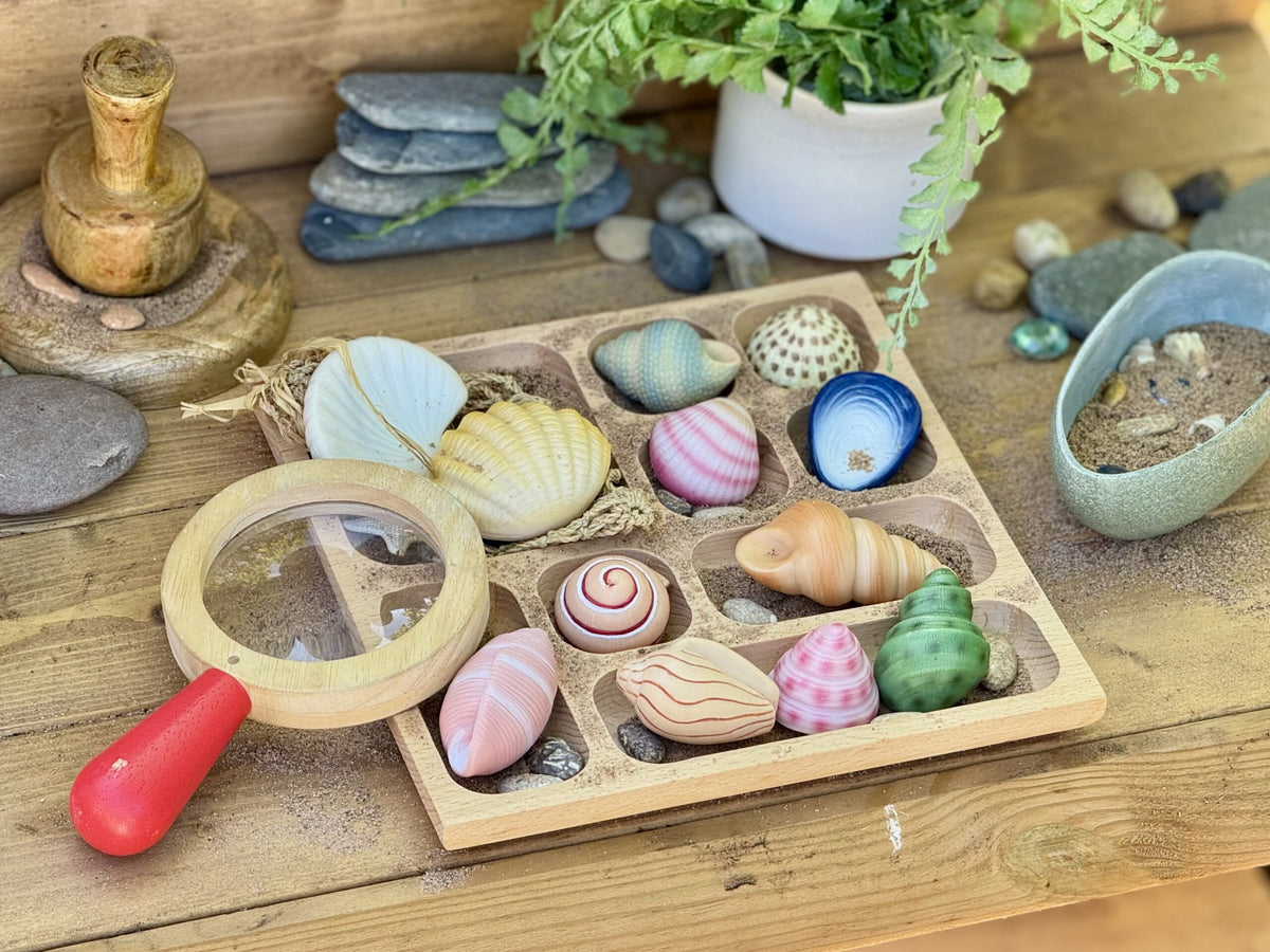 Sensory Play Stones Seashells