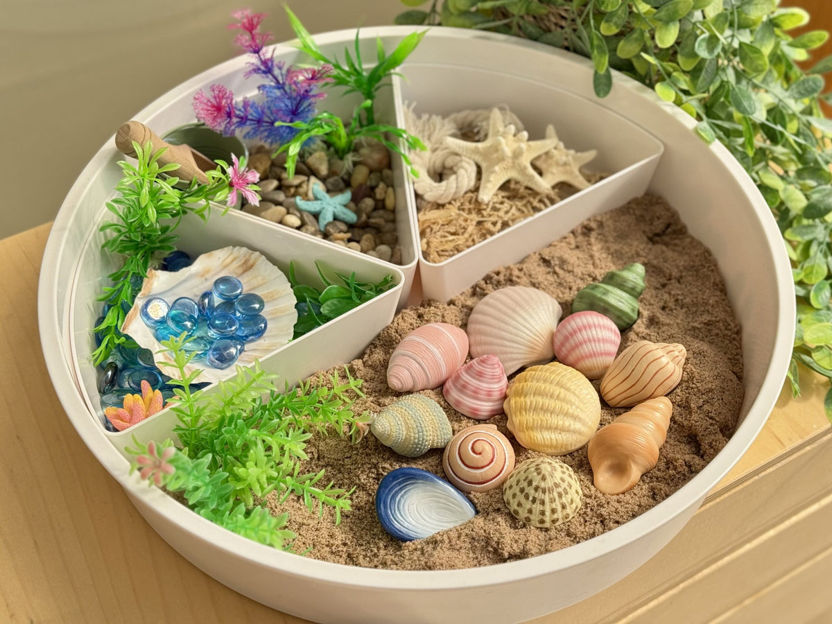 Sensory Play Stones Seashells