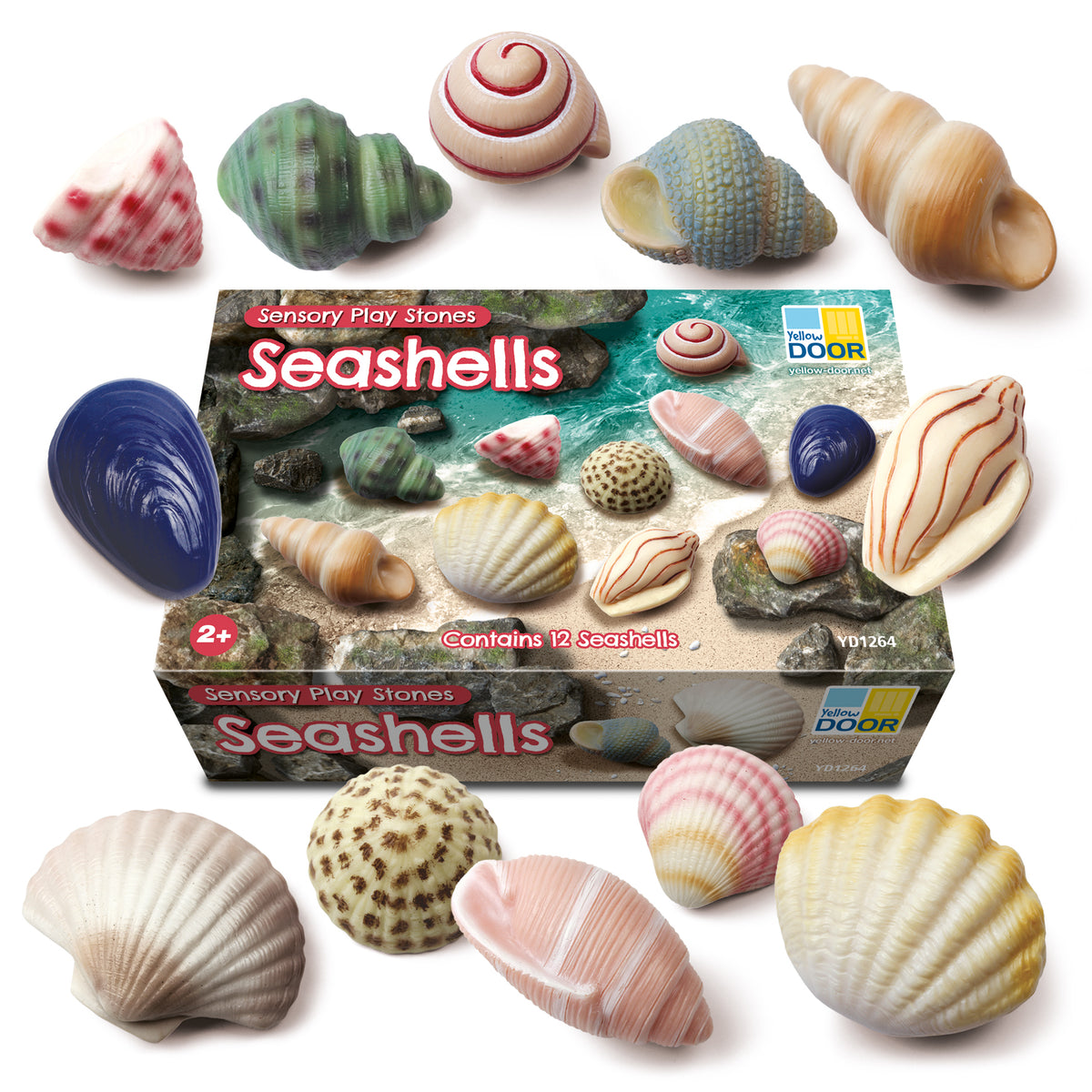 Sensory Play Stones Seashells