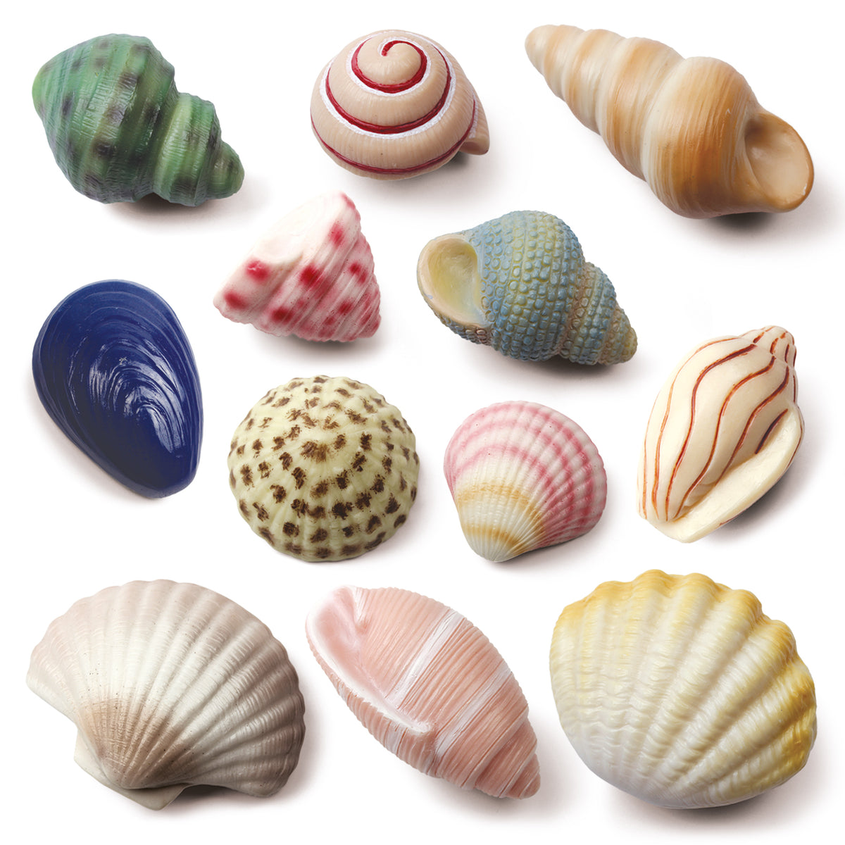 Sensory Play Stones Seashells
