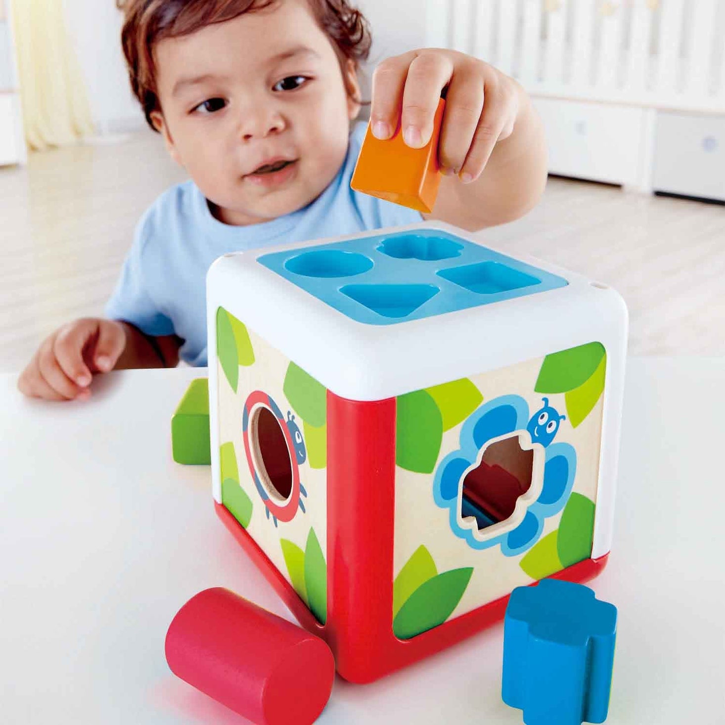 Shape Sorting Box by Hape