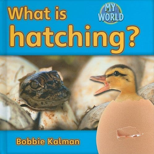 What is Hatching? My World Reader Level E