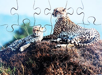 Wild Animals Set of 8 Wooden Puzzles