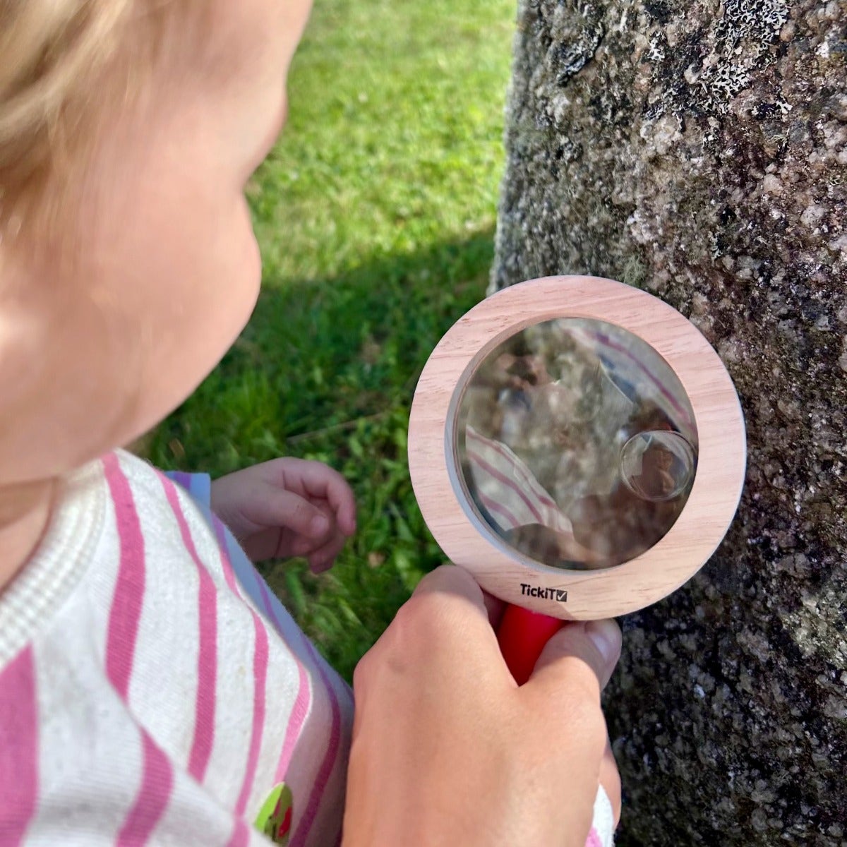 Wooden Surround Hand Lens