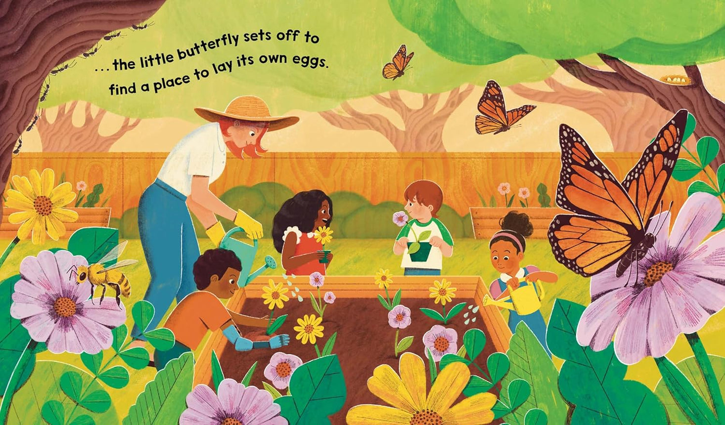 Watch Me Grow: Butterflies