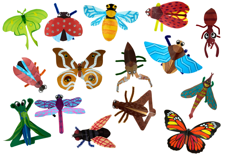 Beautiful Bugs
