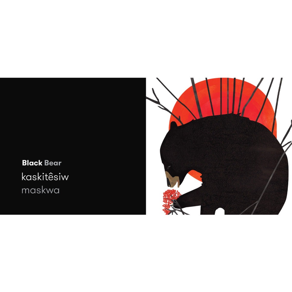 Black Bear Red Fox Colours in Cree
