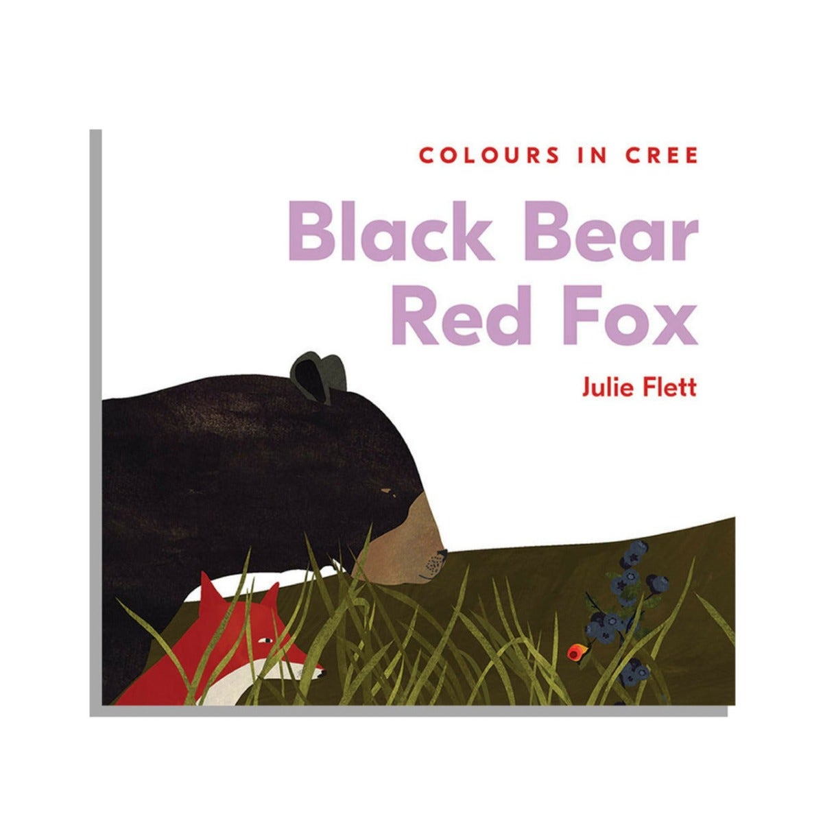 Black Bear Red Fox Colours in Cree