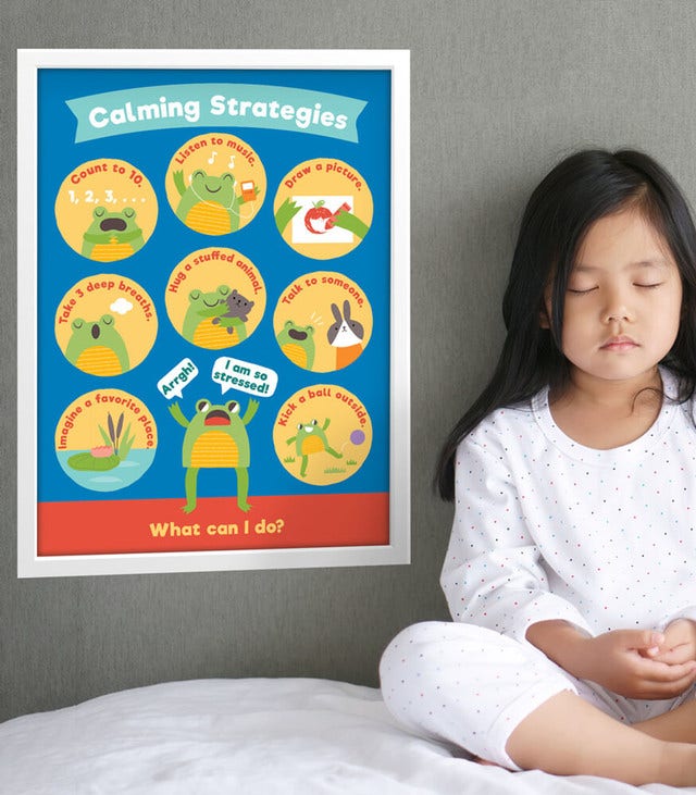 Calming Strategies Chart Set