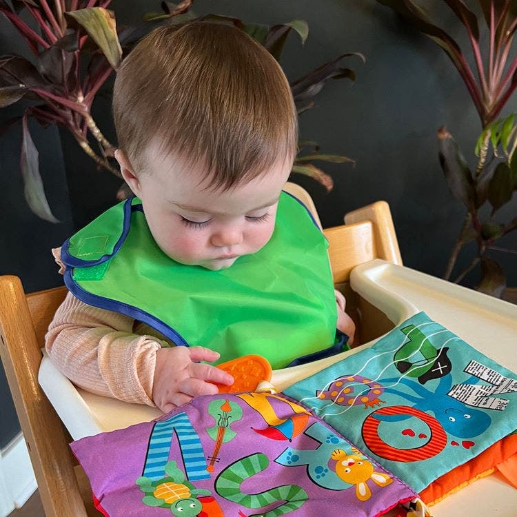 Crumb Catcher Bibs Set of 6
