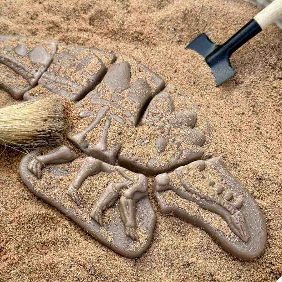 Dig and Discover Pliosaur & Stegosaurus