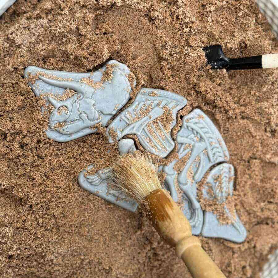 Dig and Discover Triceratops & Spinosaurus