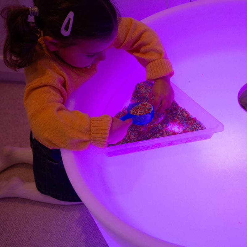 Discovery Trays Set