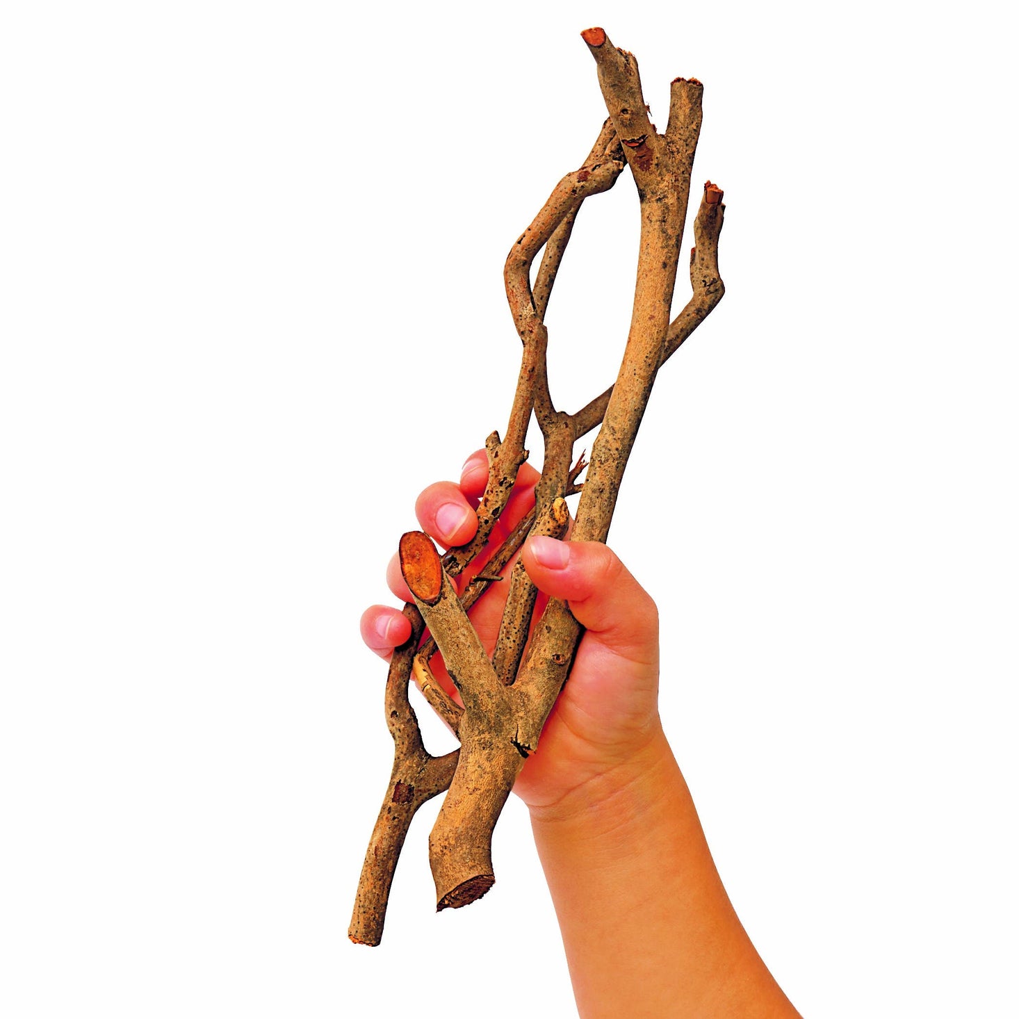 Excellerations Natural Branches 17.6 oz