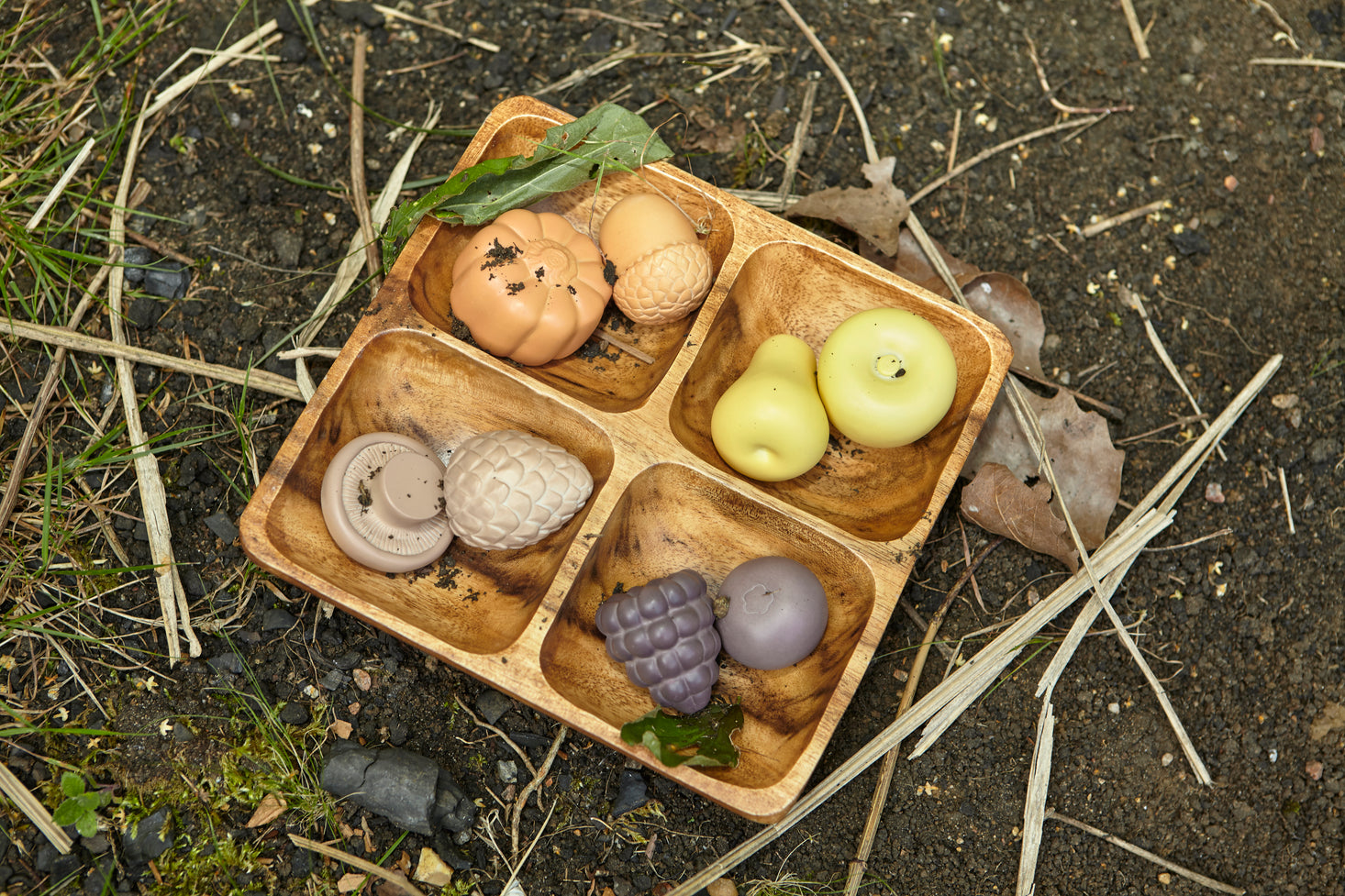 Feast of Nature Set of 8