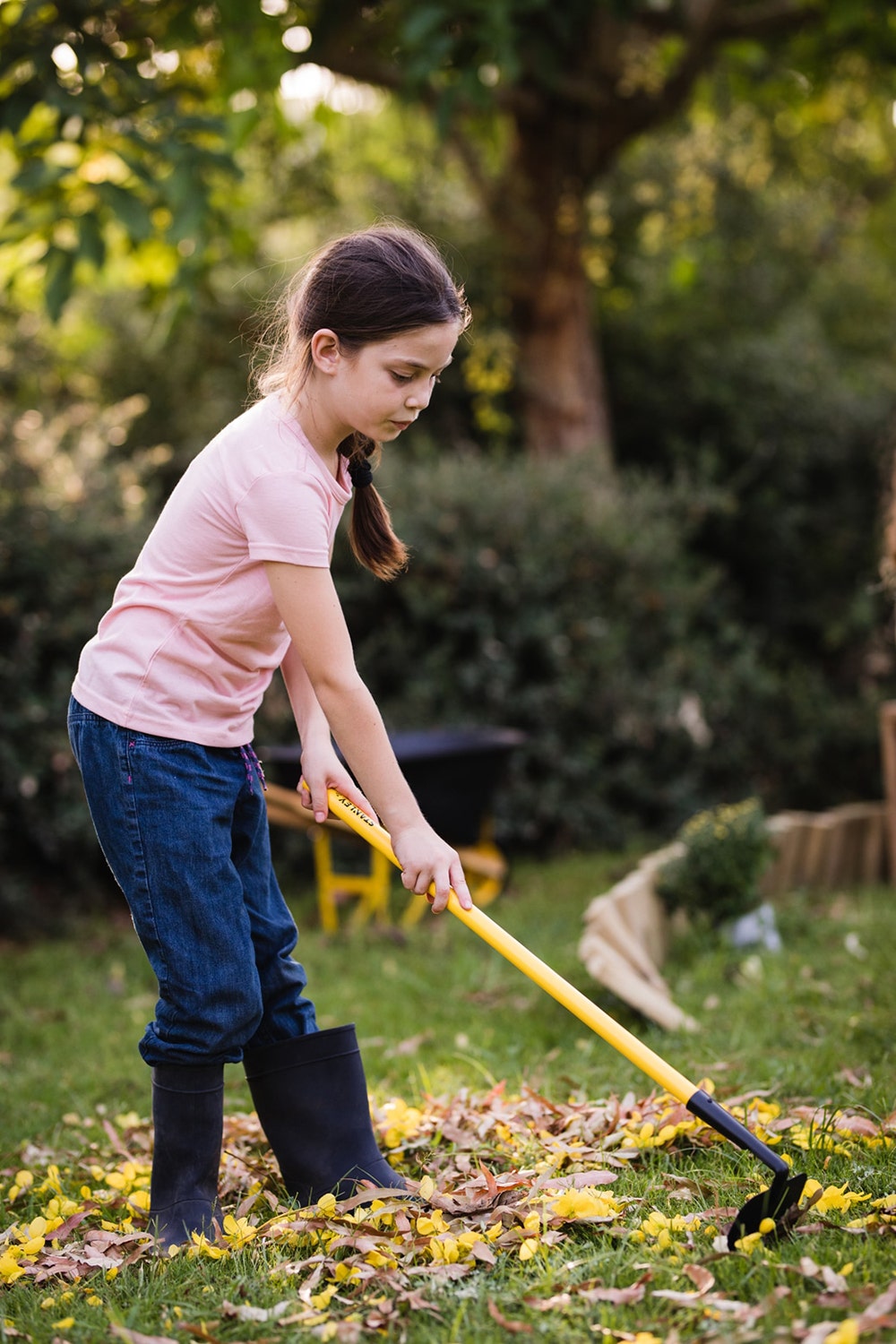 Garden Hoe