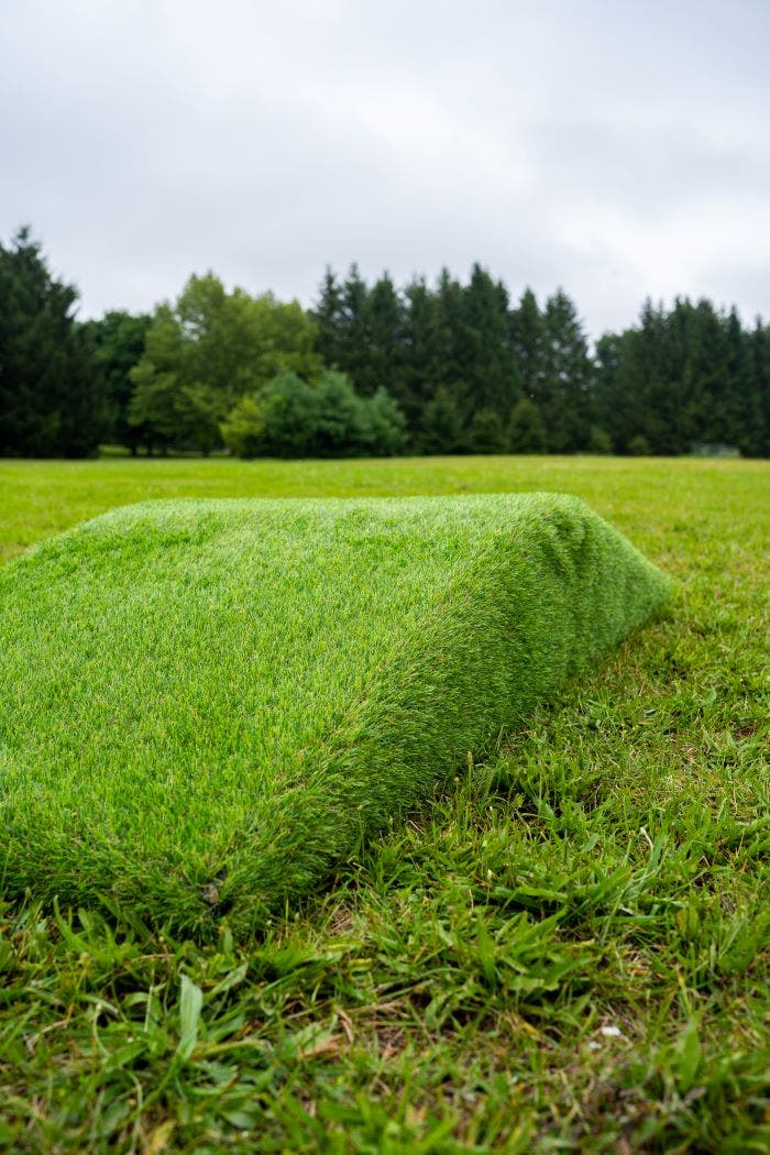 Grass Ramp by Naturally Inspired Play
