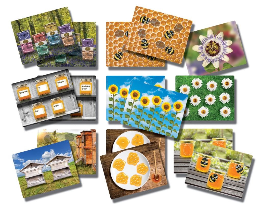 Honey Bee Early Number Cards