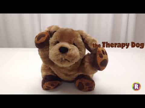 Theo the Therapy Dog