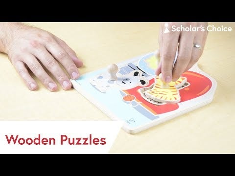 Best Bugs Magnetic Maze