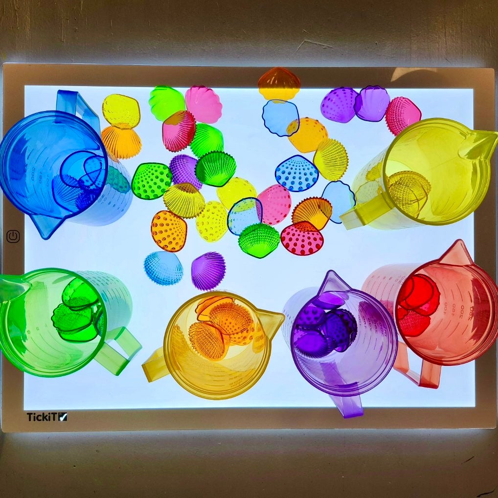 Transparent Tactile Shells Small