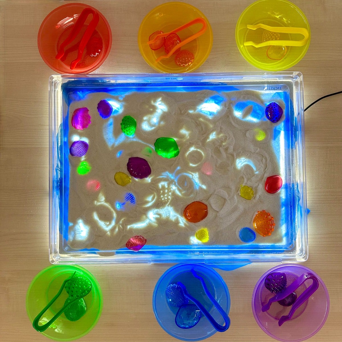 Transparent Tactile Shells Small