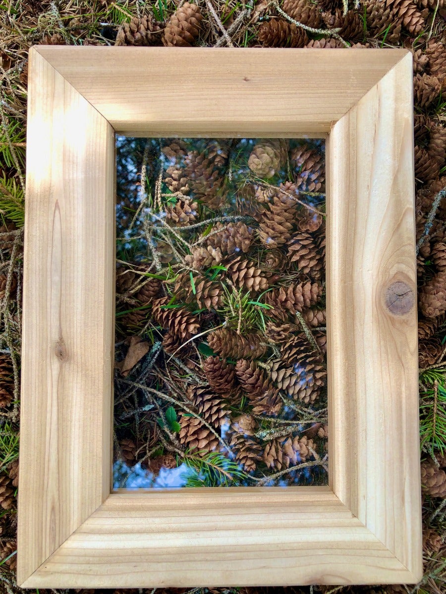 Acrylic Window Frames Set of 2 by Naturally Inspired Play