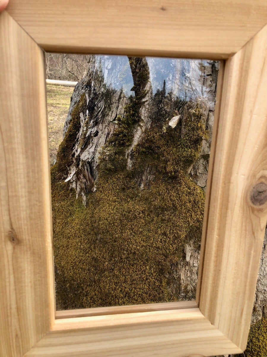 Acrylic Window Frames Set of 2 by Naturally Inspired Play