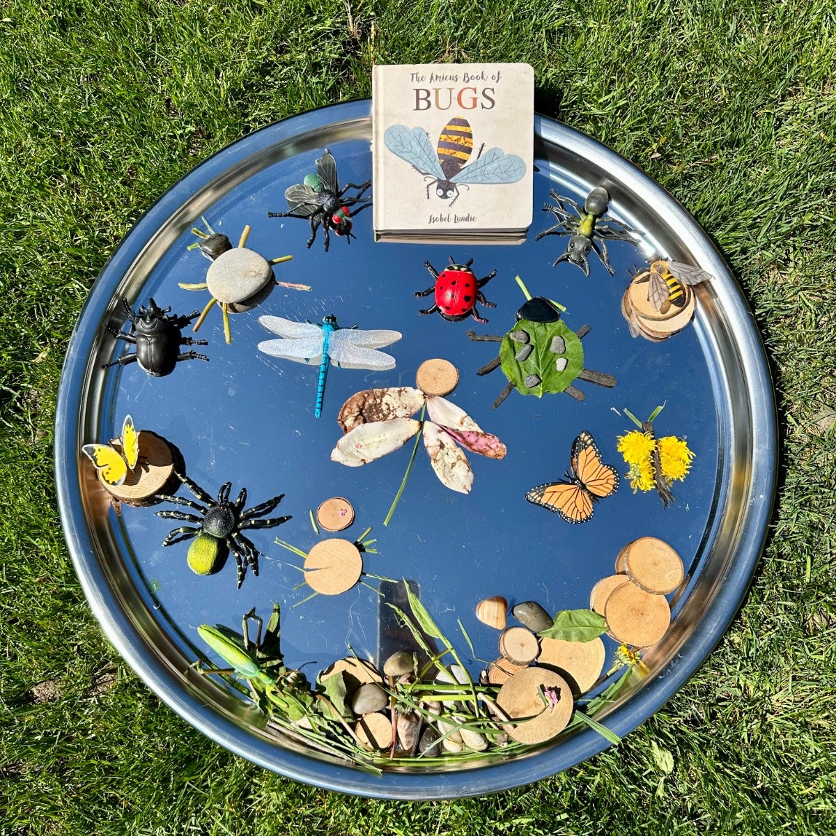 Mirrored Magnetic Sensory Circle