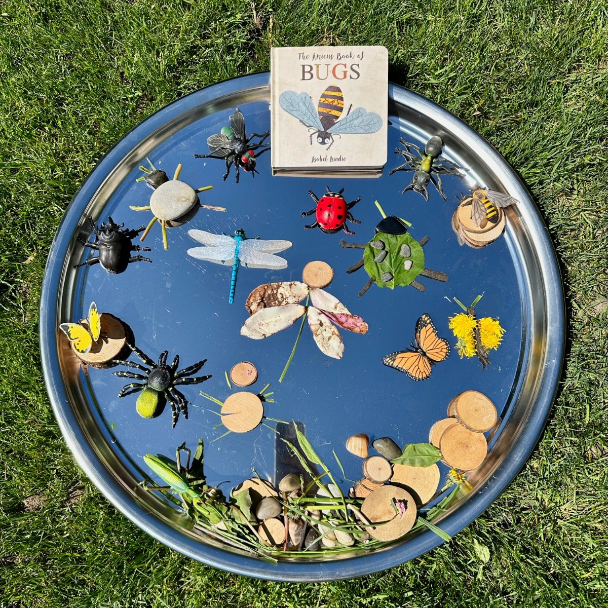 Insects