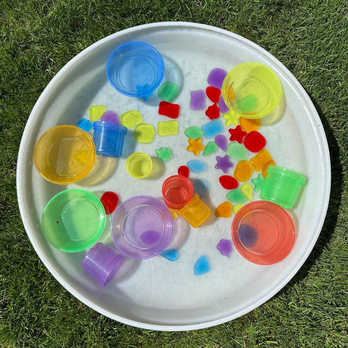 Translucent Colour Sorting Bowls Set of 6