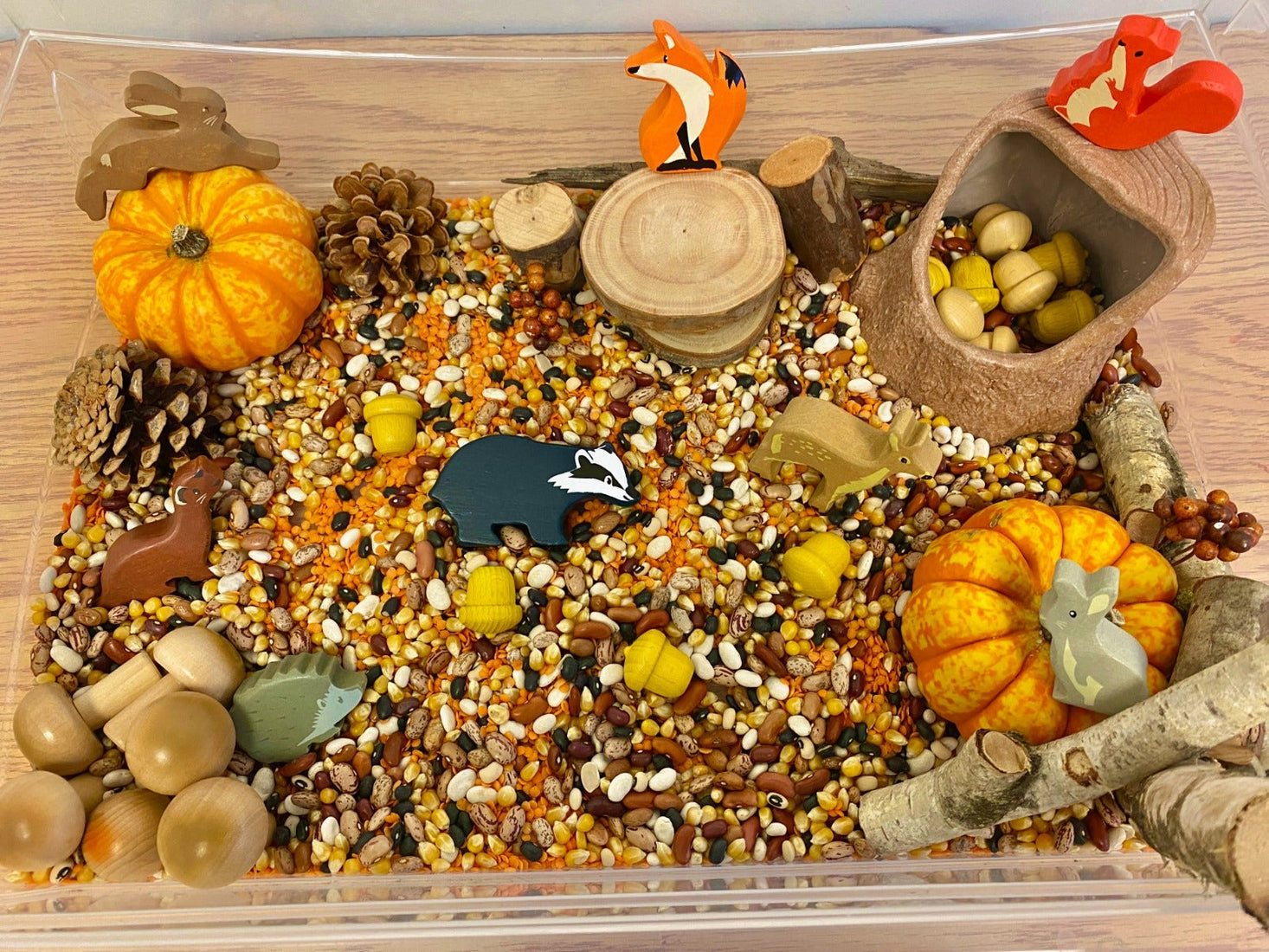 Woodland Animals Set of 8