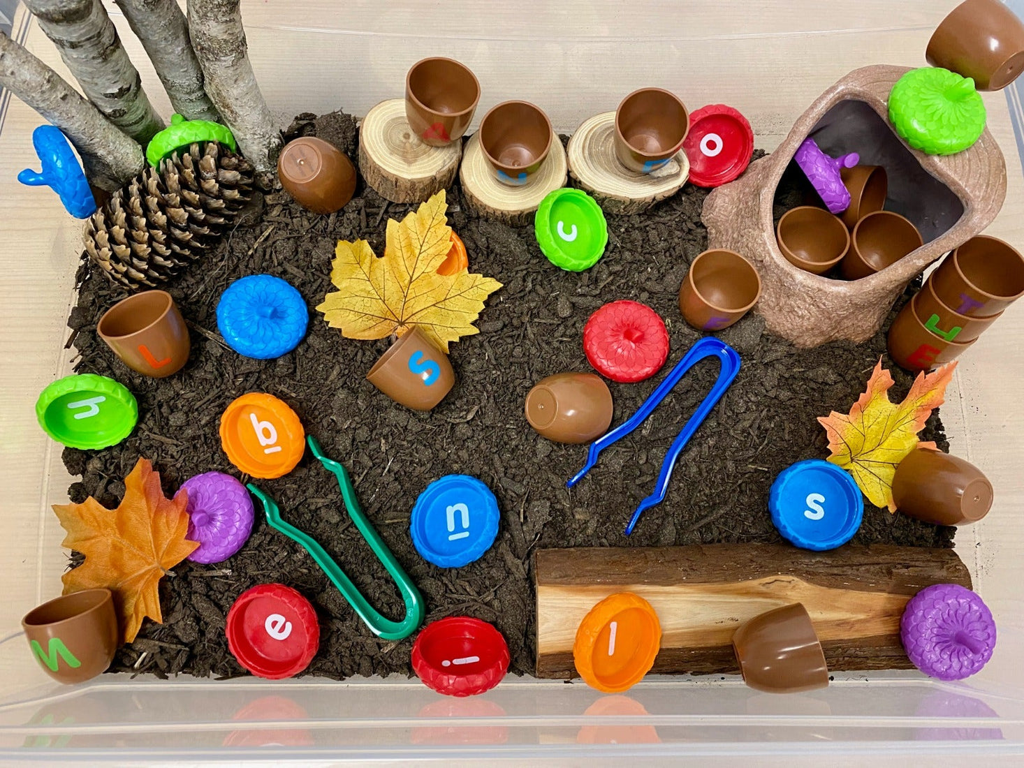 Alphabet Acorns