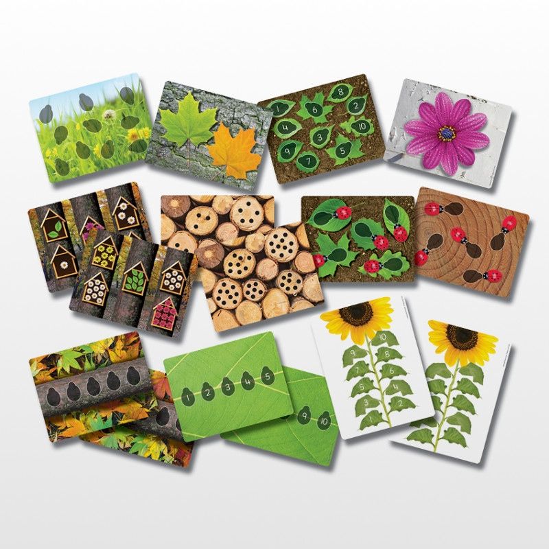Ladybugs Early Number Cards